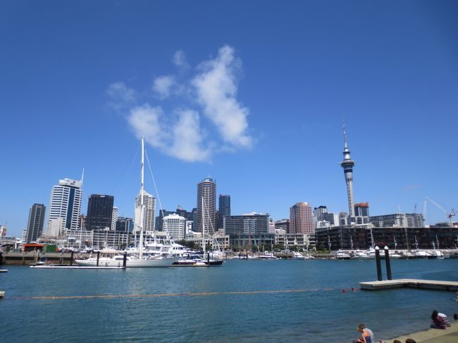 Swimming area in the Auckland harbor