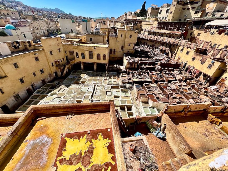 On the rooftops of Fes in a tannery. (Photo: Birgit)
