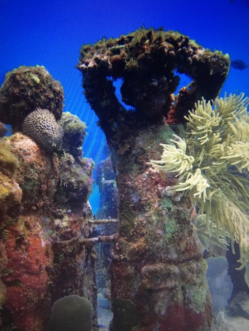 MUSA Underwater Museum, Cancun