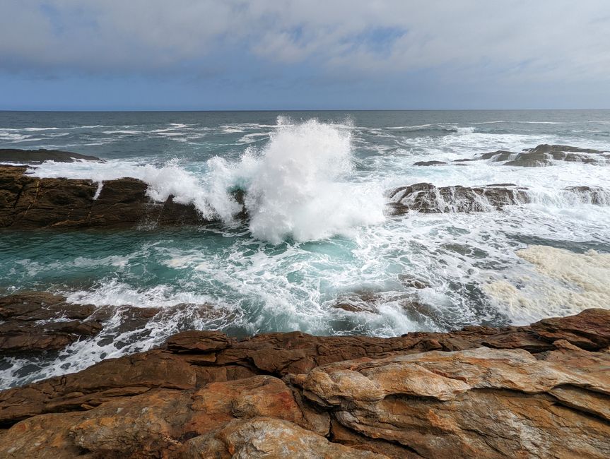 Parc national de Tsitsikamma