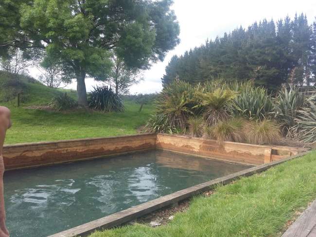 Maori splash pool