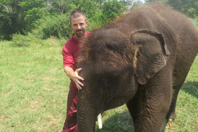 13.04. Chiang Mai - Elephant Rescue Center 🇹🇭