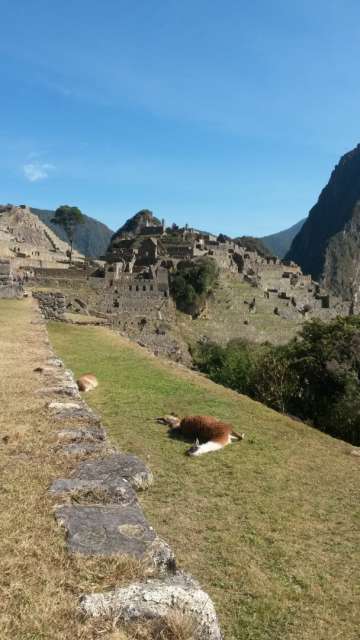 Machu Picchu - a dream come true