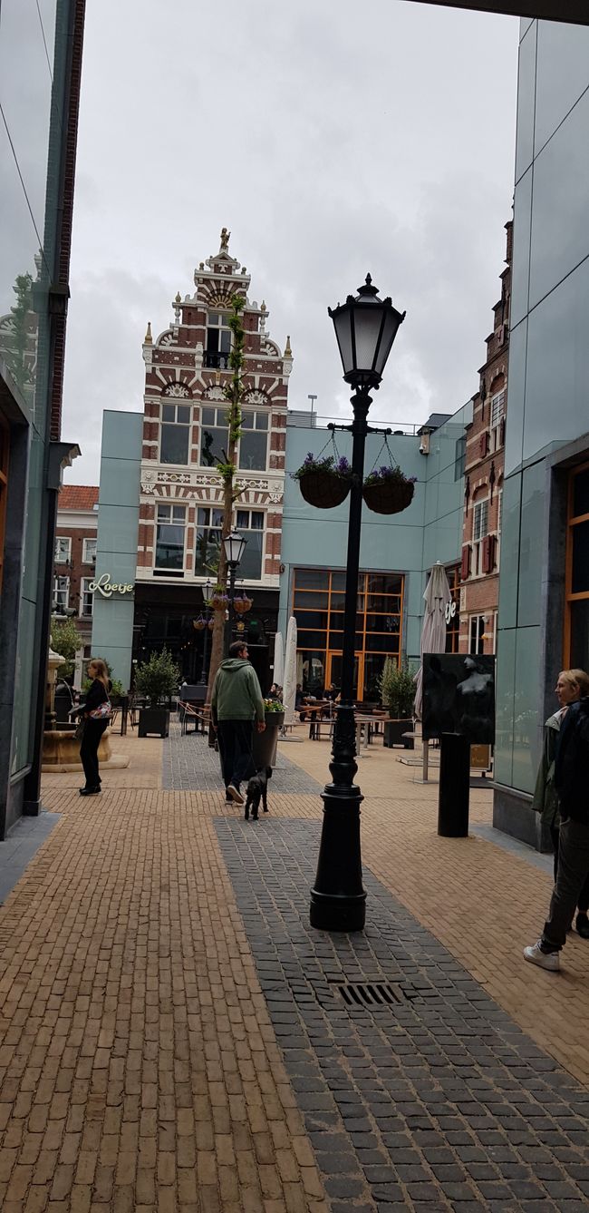 The Hague (NL)