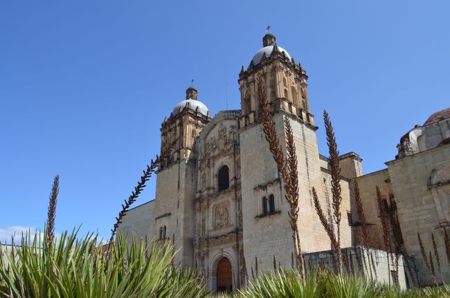 Oaxaca နှင့် Santa Maria del Tulé