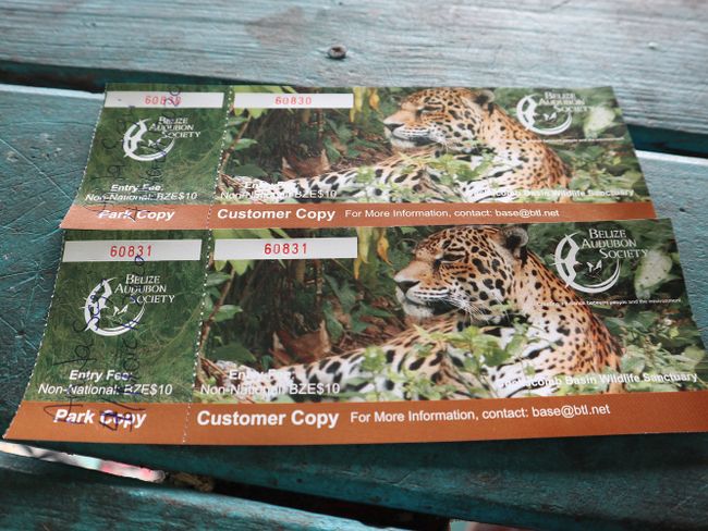 Ho palama Jaguar Reserve :O (Letsatsi la 182 la Leeto la Lefatše)
