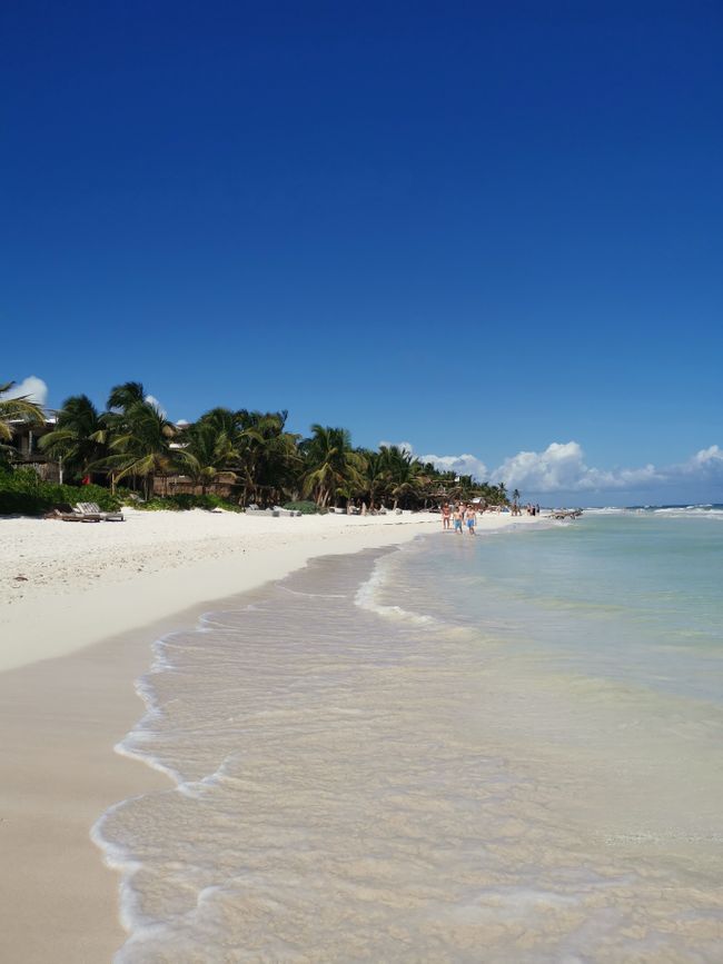 Tag 336 - Playa del Carmen, Mexico (12.12.2020)