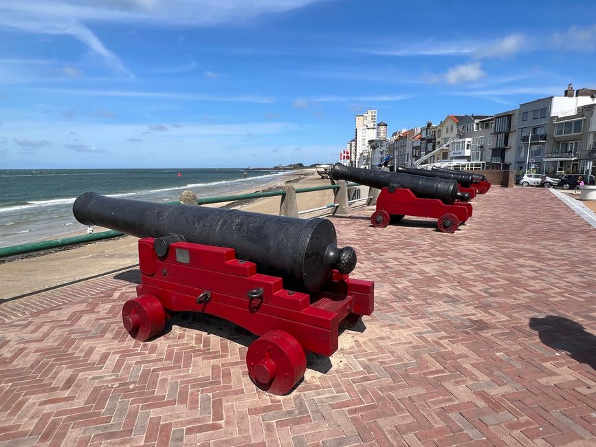 Reception with cannons