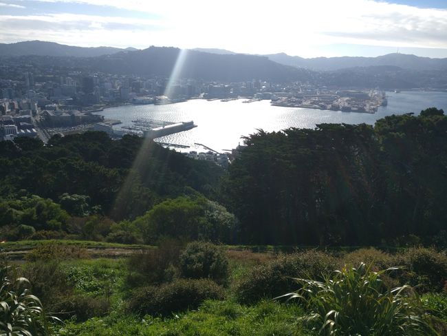Day 7 - A Look at Wellington