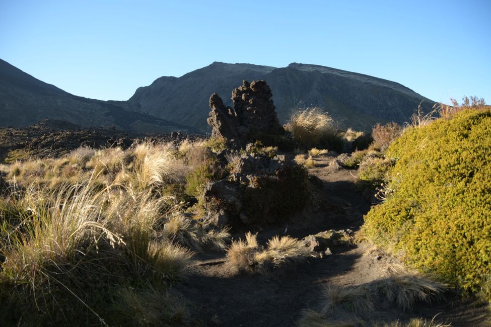 Tongariro Crossing: View towards Mt.Ngauruhoe