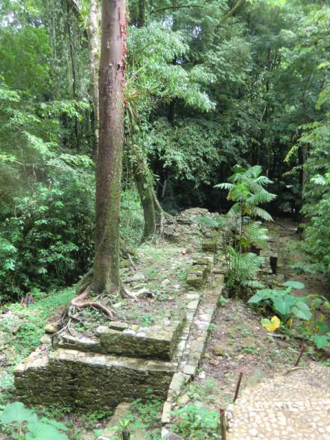 Palenque – auf den Spuren der Maya’s
