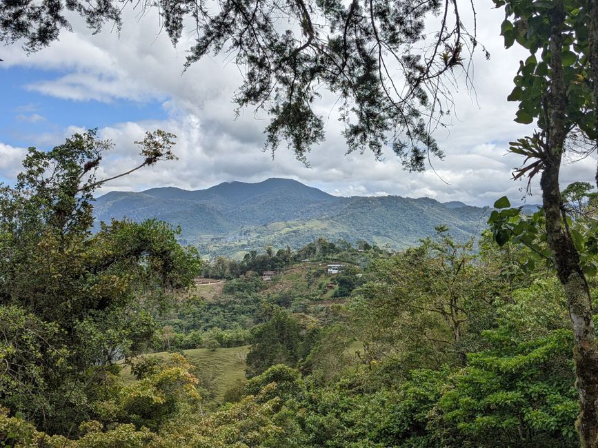 Stage 9: Coffee plantations and obstacles