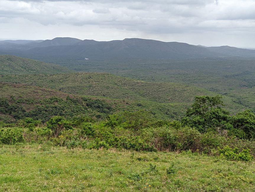 Hluhluwe-Imfolozi-Nationalparks