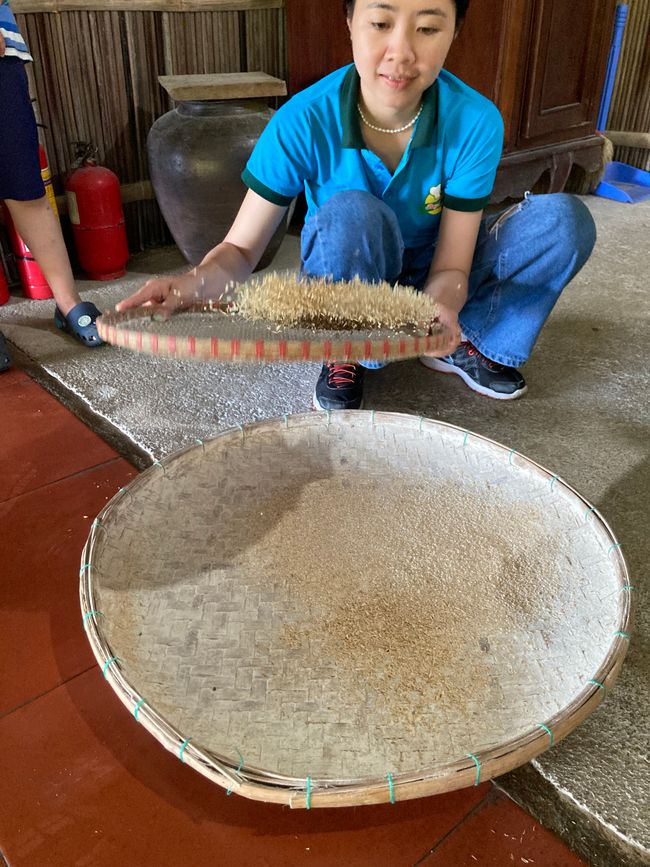 Shaking and sieving separate rice flour, rice grain, and chaff