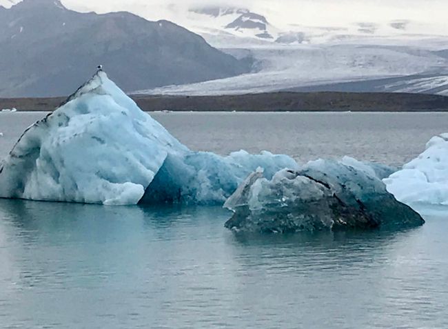 Tag 5: Ice Lagoon, Gletscher