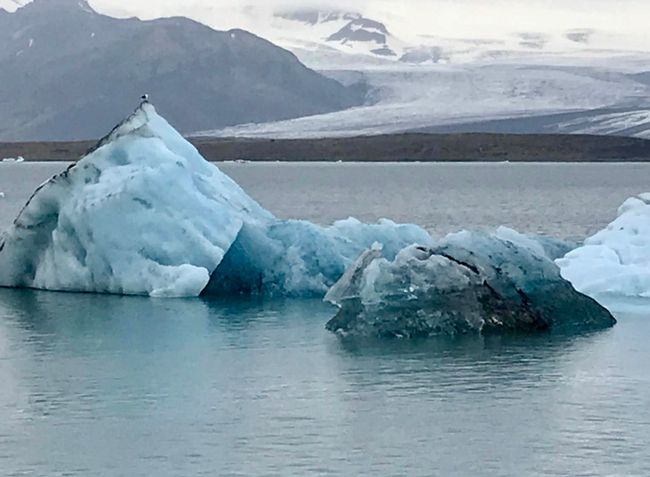 Day 5: Ice Lagoon, Glacier