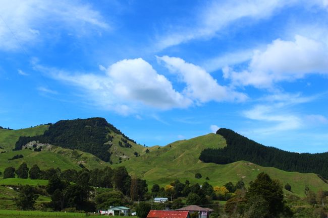 Weg von Waitomo zum Tongariro National Park