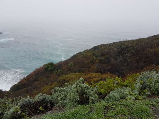 Despite the different weather conditions, the journey north on the Pacific Coast Highway was no less spectacular, accompanied by great Christmas Country Music via satellite radio XM🎅