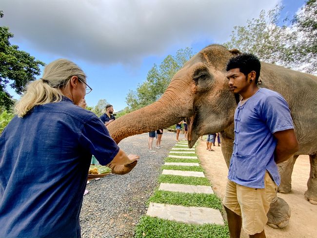 Tag 7 Koh Samui Elephant Sanctuary