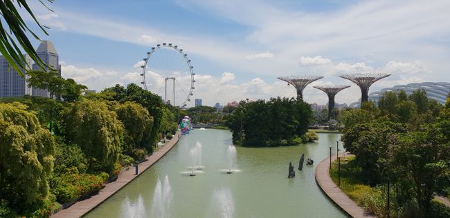 Singapour & Cairns