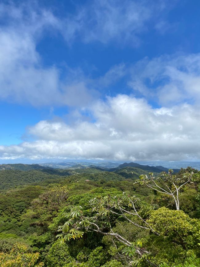 La Reserva Bosque Nuboso Santa Elena