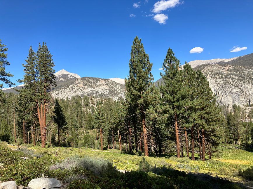 High Sierra Trail Day 3