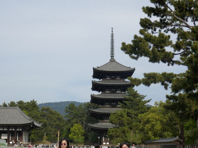 (Finally again) Kyoto and Nara (20th-22nd April)