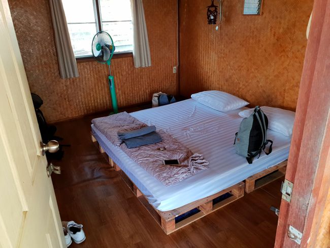 New bedbug-free room
