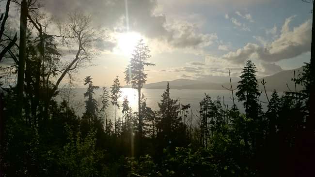 View in Stanley Park