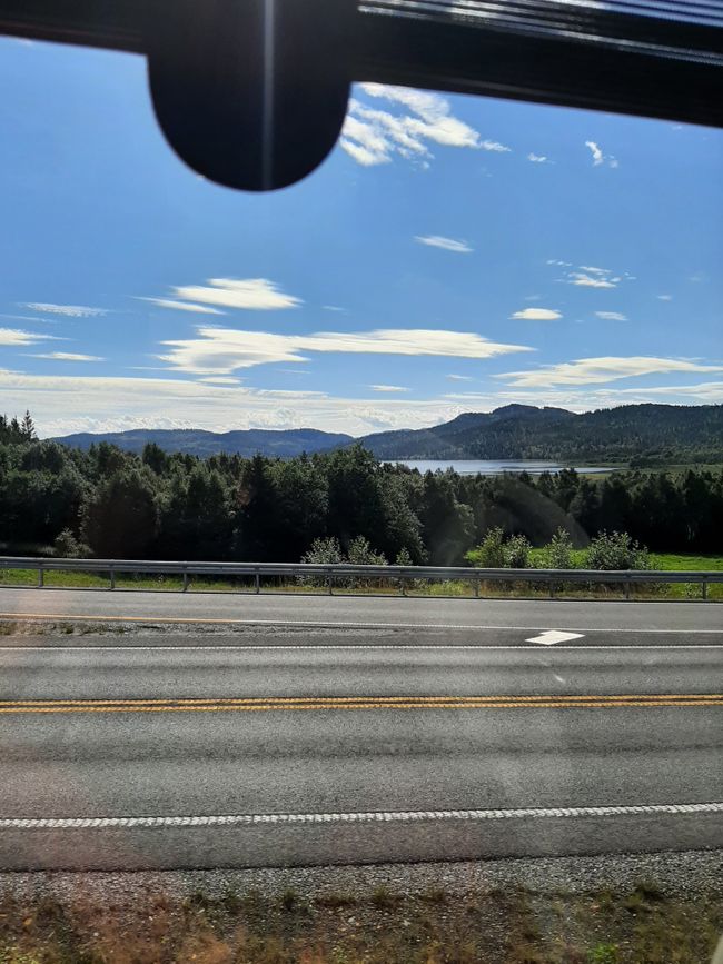 View from the bus