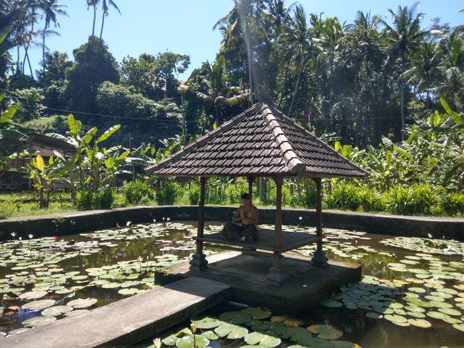 2 Wochen Urlaub in Bali