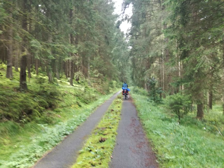 Tag 9: Die schwerste Etappe - hoch in den Thüringer Wald