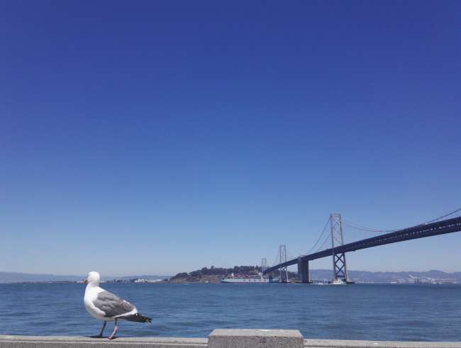 (View of Treasure Island and the Oakland Bay Bridge)