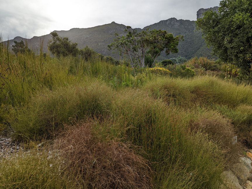 Kapstadt/Cape Town