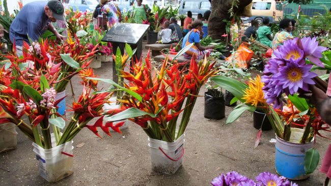 Market of Port Vila