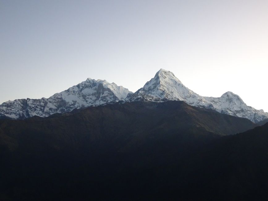 Népal : Pokhara, Poon Hill Trail et parc national de Chitwan