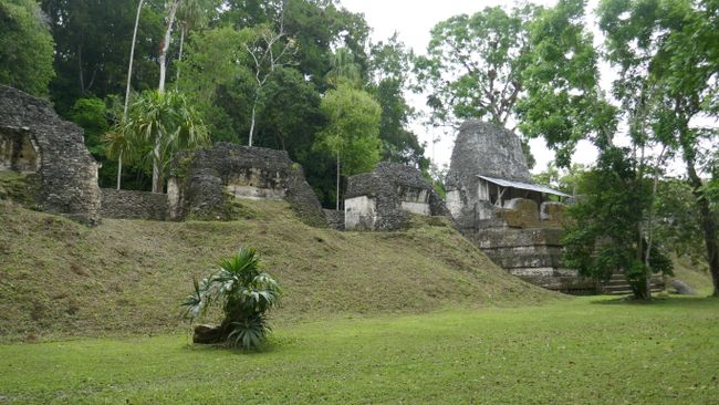 Tikal - Plaza de los Siete Templos