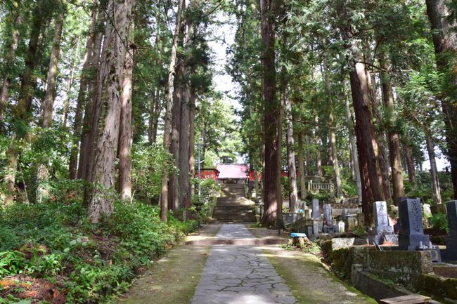 Cemetery in the forest