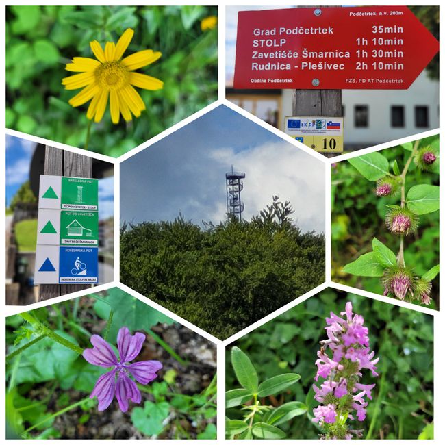 Day 9 - 30.07.2023 Hike from Podcetrtek to STOLP Rudnica Viewing Tower