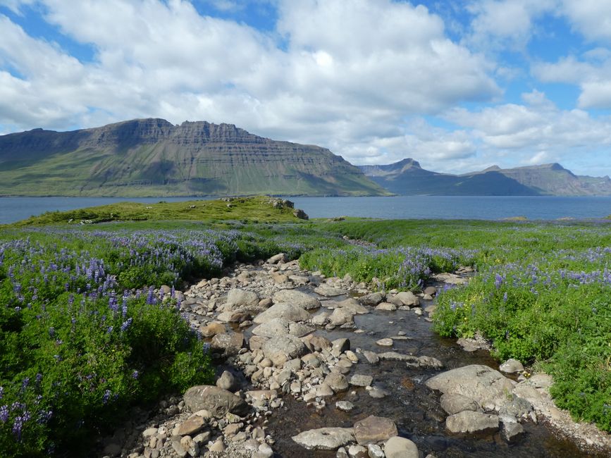 Seydisfjördur, Iceland: Hiking and Puffins (with AIDAaura to Greenland and Iceland 4)