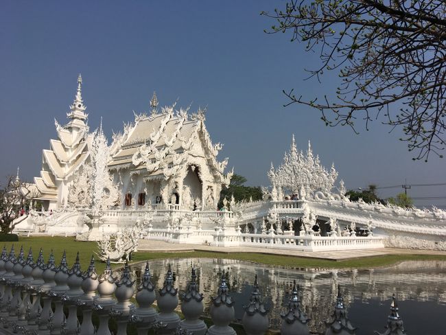 Wit tempel, olifante - net wonderlik