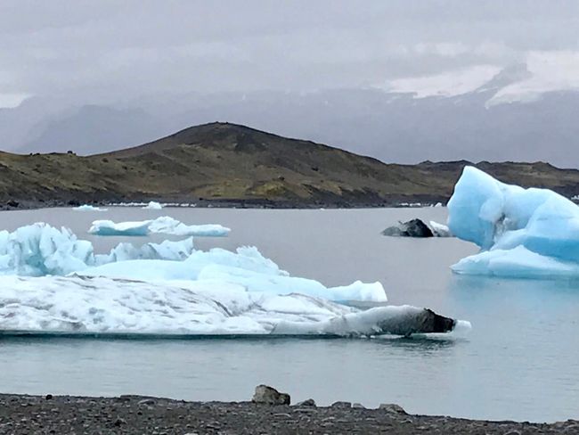Day 5: Ice Lagoon, Glacier