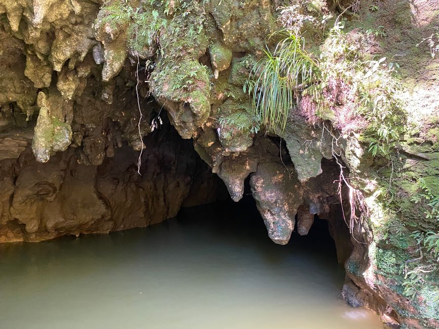 Exit of the Waitomo Glowworm Caves
