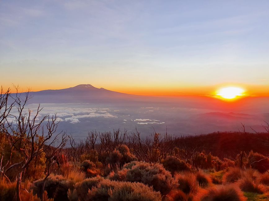 Sunrise über dem Kilimanjaro
