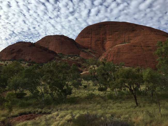 Im roten Herzen Australiens – 2 Tage Ayers Rock und Kata Tjuta