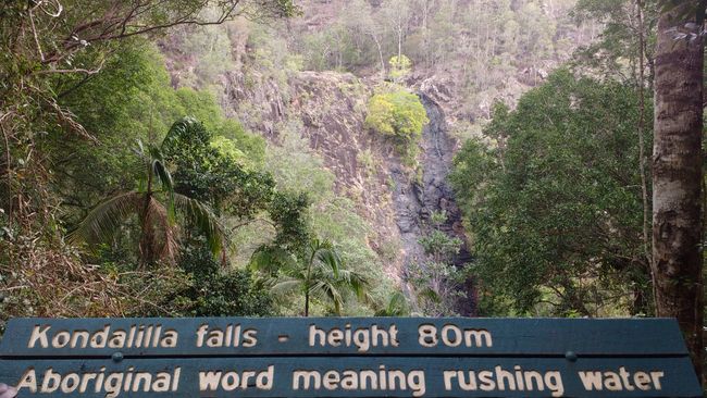 Road Trip (RT) - Kondalilla Falls