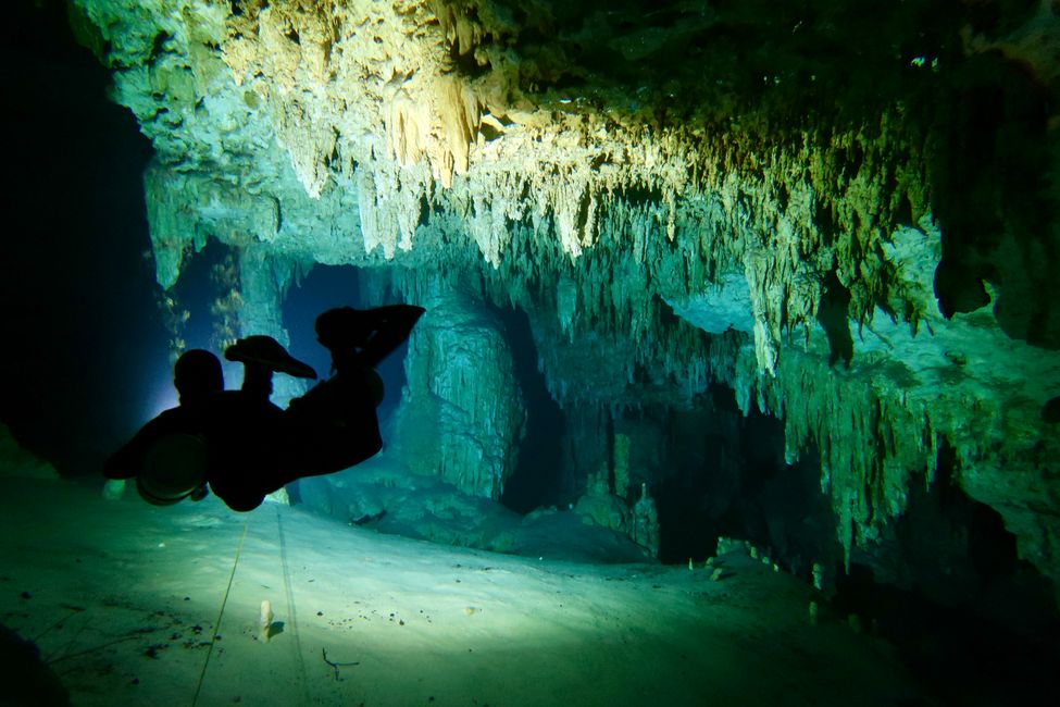 Diving in Cenote Dos Ojos (22.02.2022)
