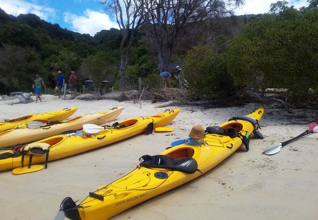 Kayaks are already ready