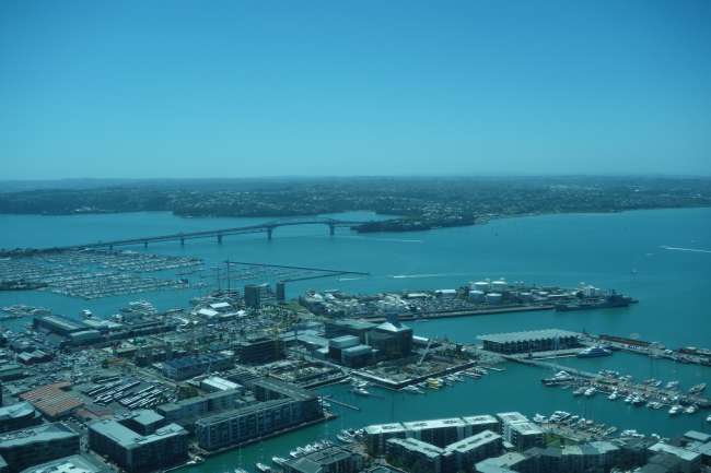 Sky Tower View, Auckland Harbour