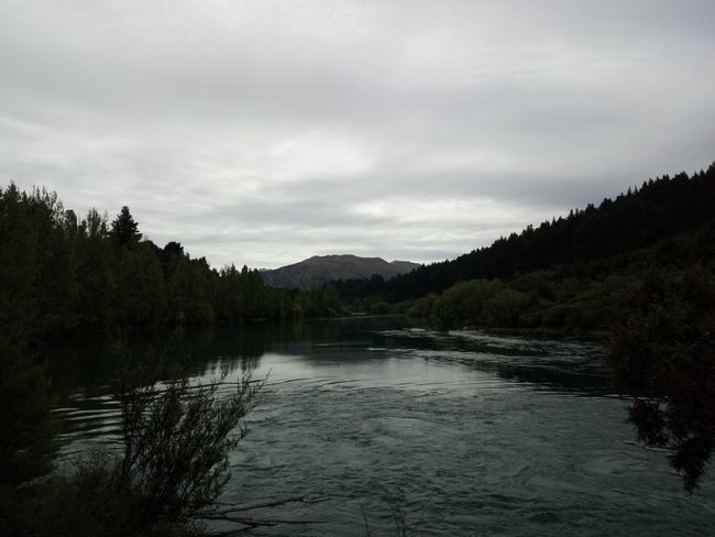 (8) Clutha River Seat
